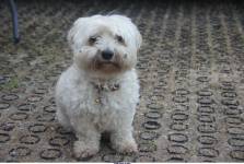 Jean Pierre GUERIN - AMPLITUDE-PHOTO