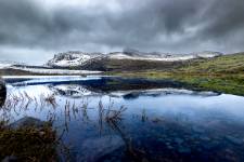 Alexandre ROSSINI - ROSSINI