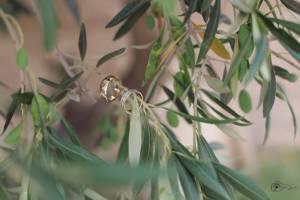 Aline CLADEL - TRIPLE ECLATS