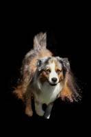 Nathalie AMALLA - STUDIO CHRYSALIN'S